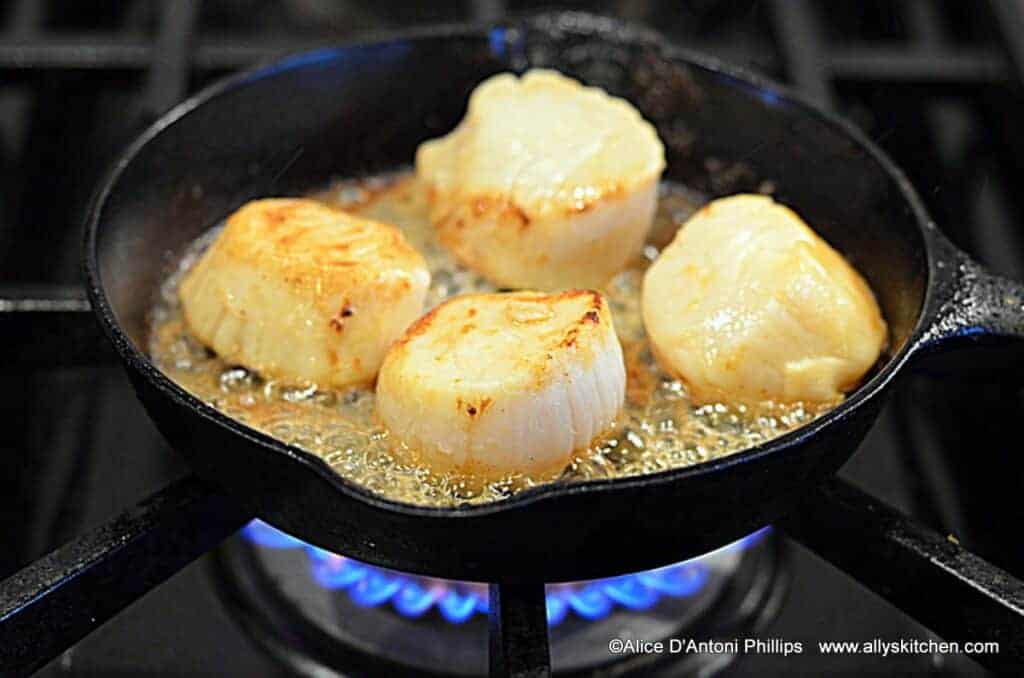 pan seared scallops