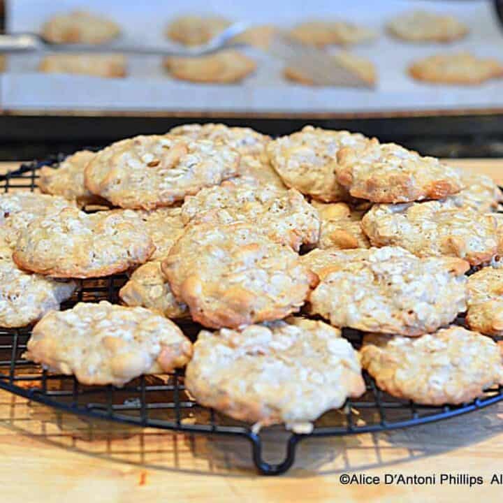 Oatmeal Nut Sea Salt Chewies