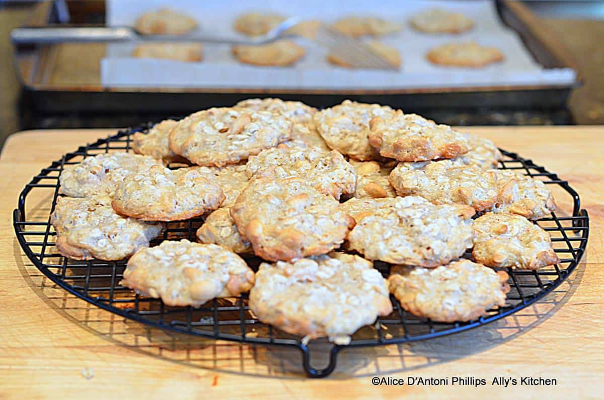 Oatmeal Nut Sea Salt Chewies