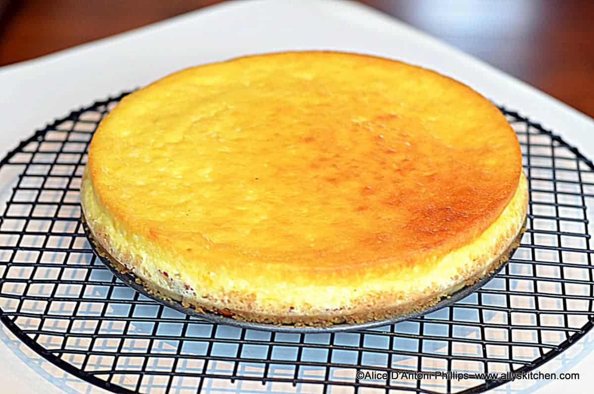Lemon Cottage Cheesecake Cheesecake Recipes Ally S Kitchen