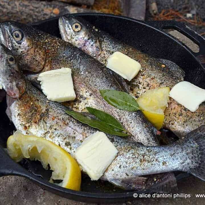 skillet steamed fresh mountain trout