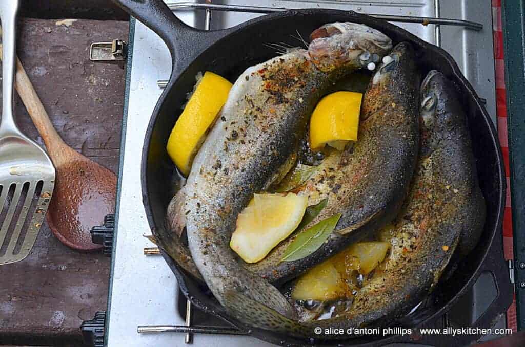 ~skillet steamed fresh mountain trout~