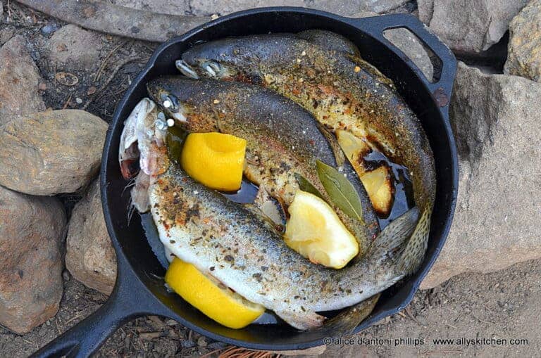 Skillet Steamed Fresh Mountain Trout Camping and Fish