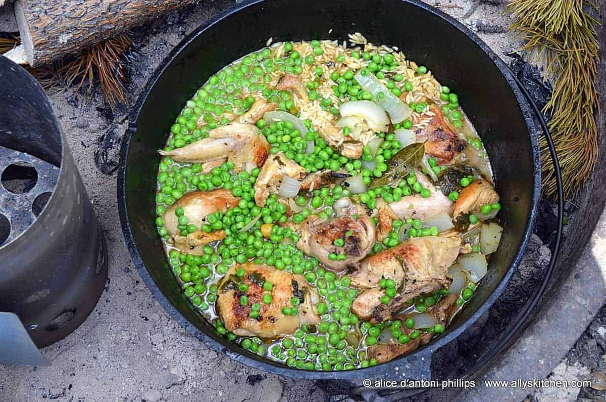 Camping Dutch Oven Chicken and Dumplings