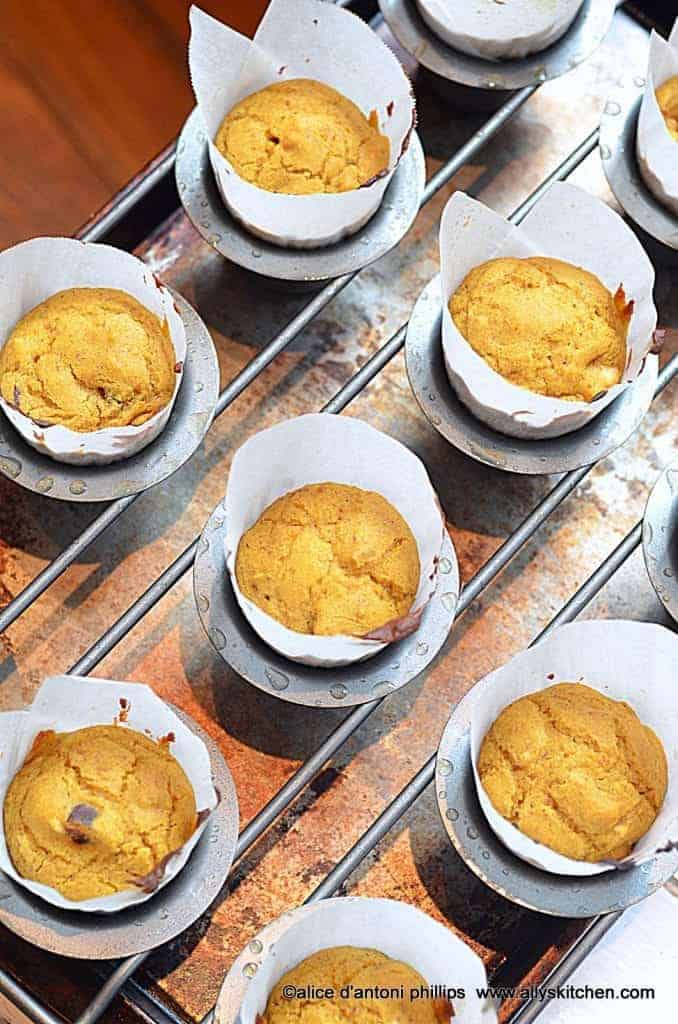 ~buttermilk pumpkin walnut spiced popovers~