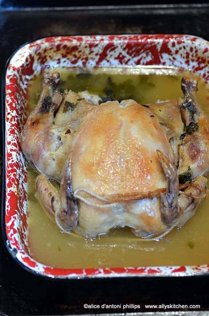 lemon butter herb roasted whole chicken