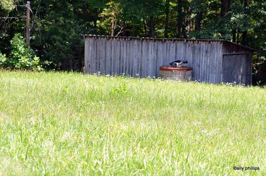 Wooden shed in a field