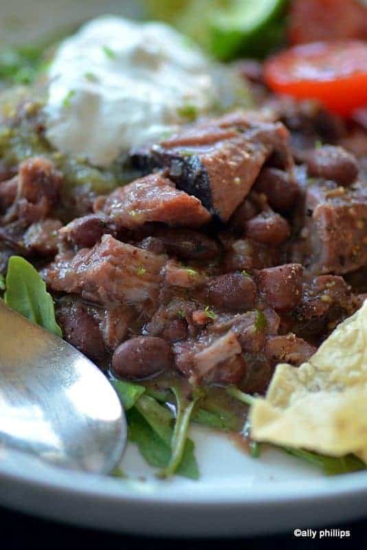 salsa verde latin red beans & pork|bean recipe|ally's kitchen