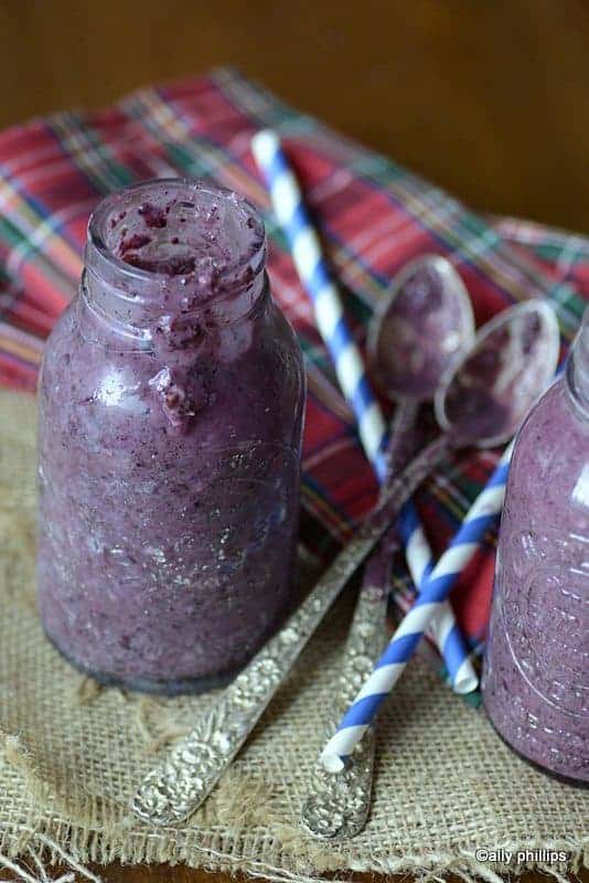 the wild blueberry dream team smoothie