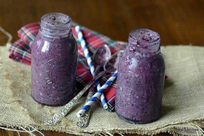 the wild blueberry dream team smoothie