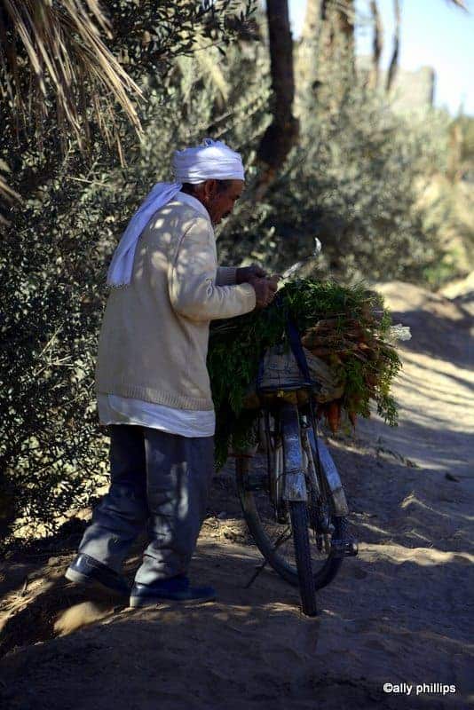 the allure of morocco