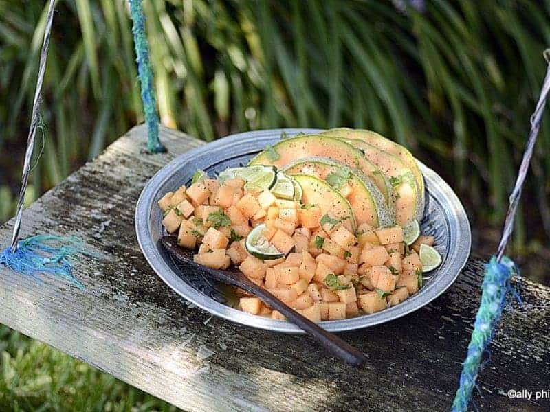 lime cilantro cantaloupe