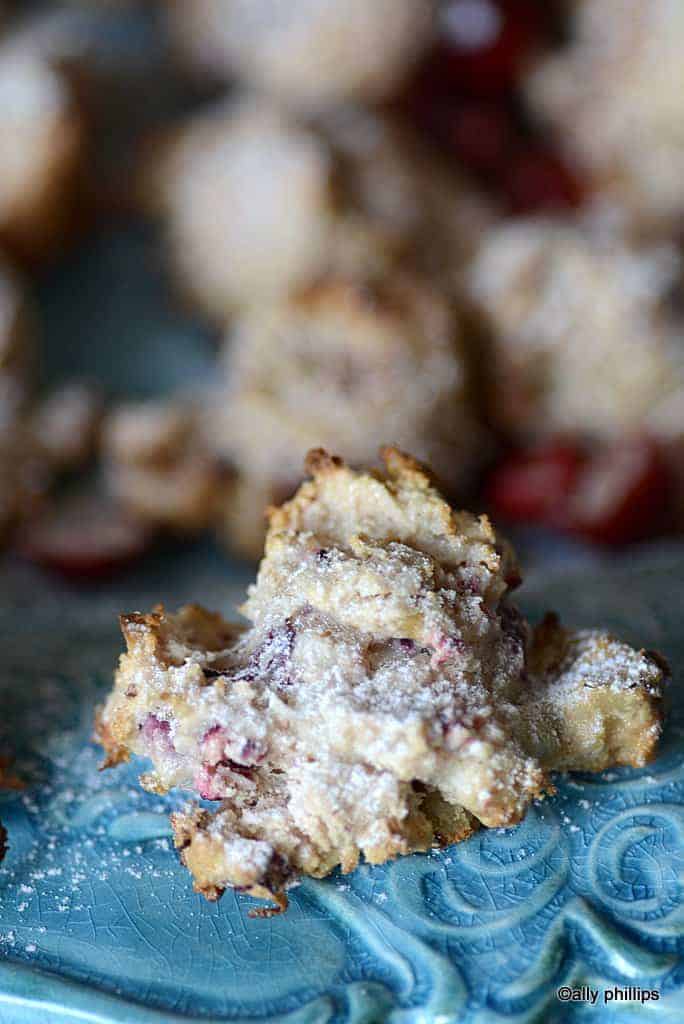 cranberry coconut cookies gf