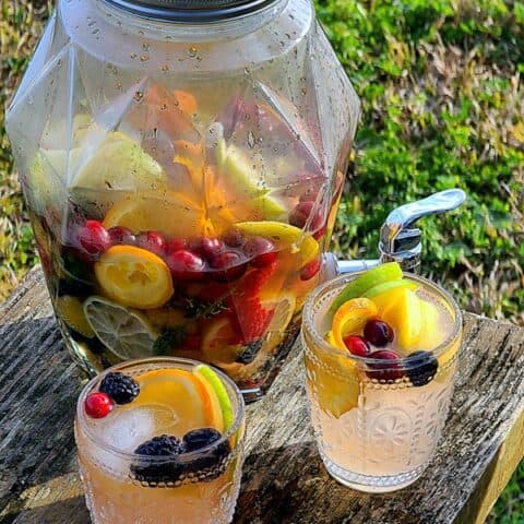 vodka infused fruit drink