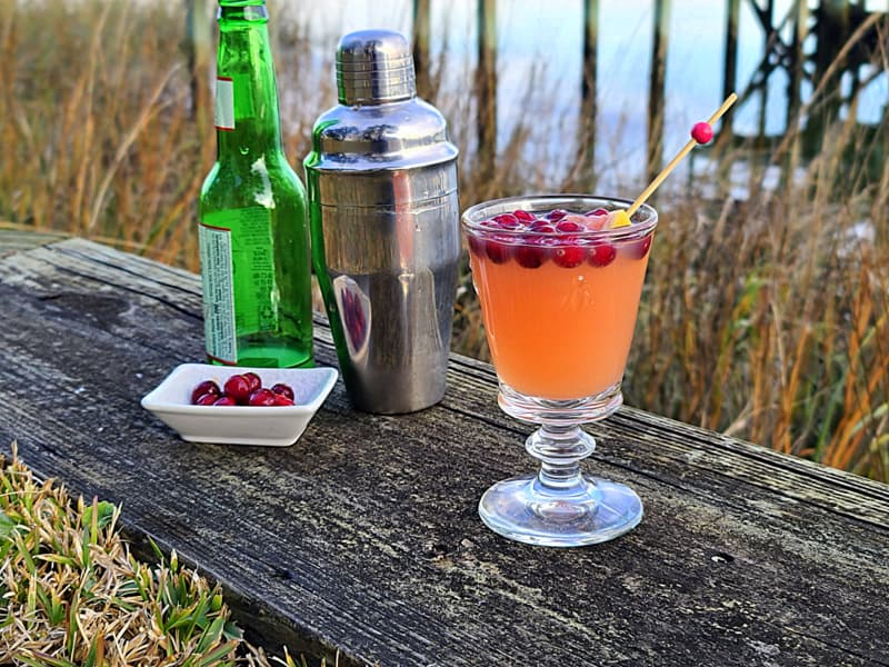 Stars Ruby Red Martini Glass