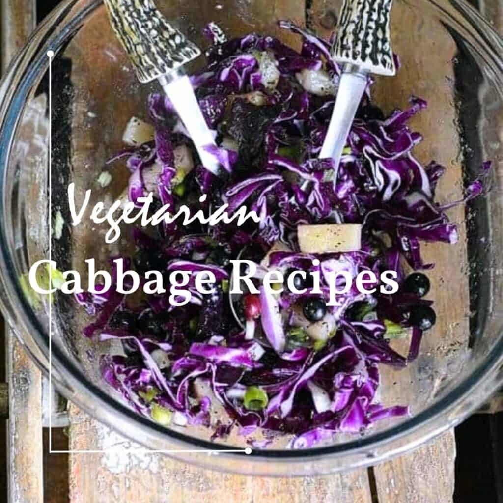 Vegetarian Cabbage Recipes - Ally's Kitchen
