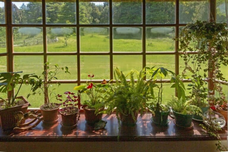 Your Guide to an Enchanting Garden Window