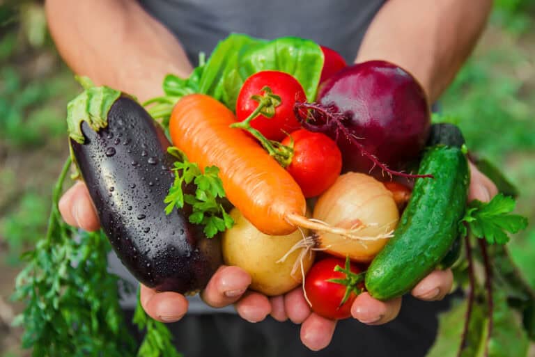 Tips for Growing an Organic Garden at Home