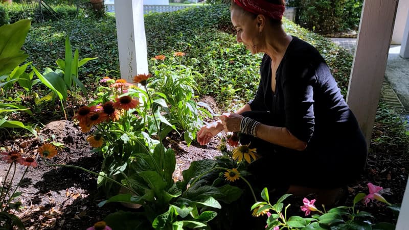 grow microgreens