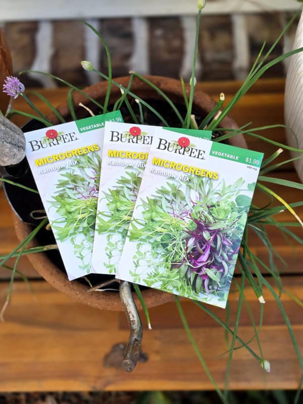 grow microgreens