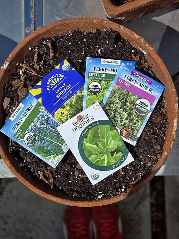 grow microgreens