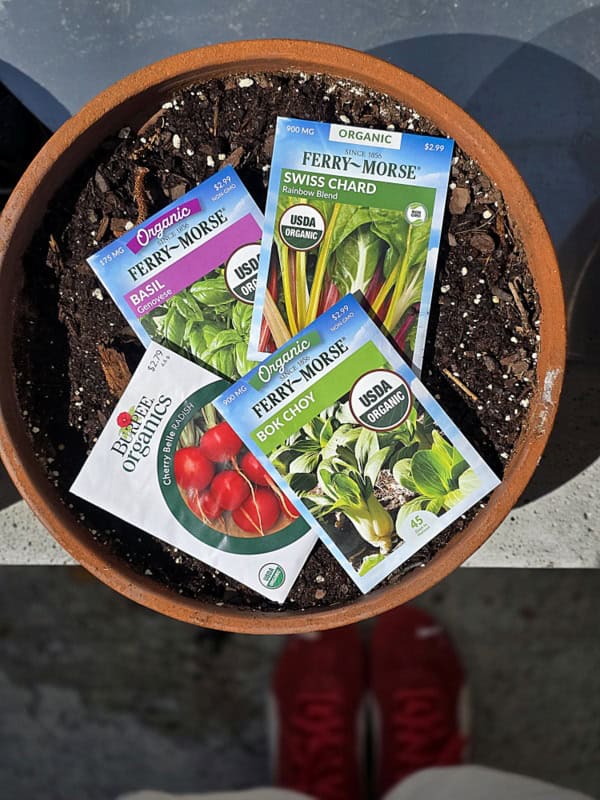 grow microgreens