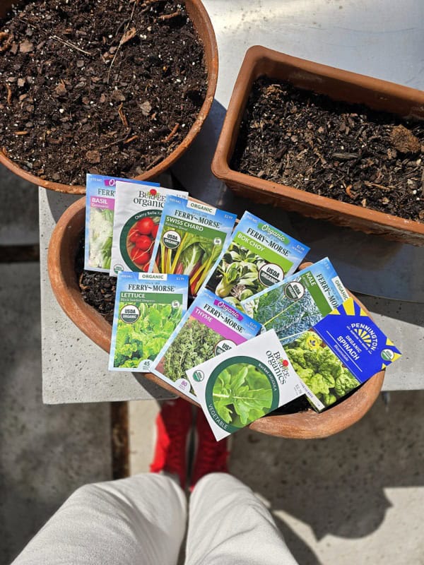 grow microgreens