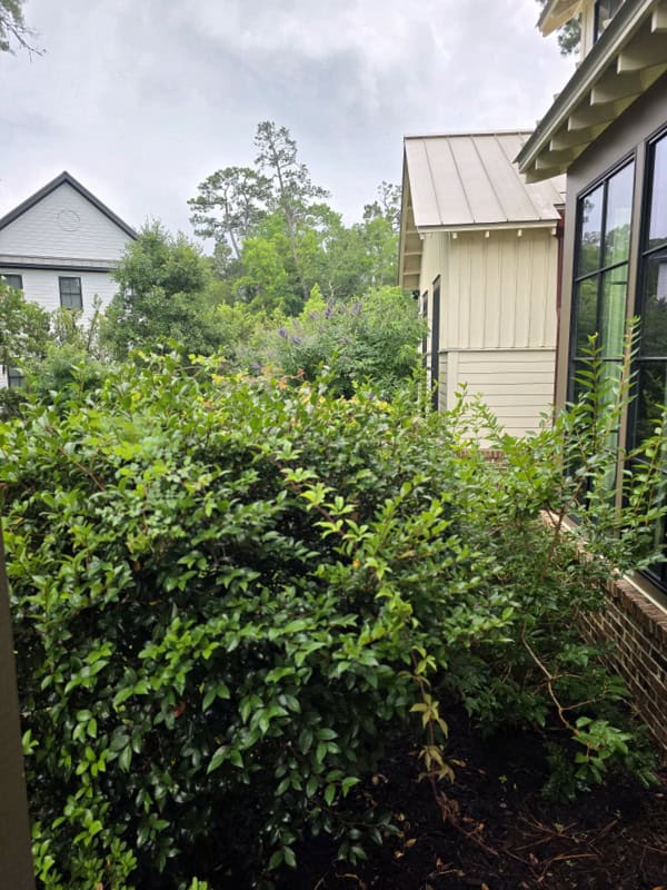 Rainy Day Gloominess