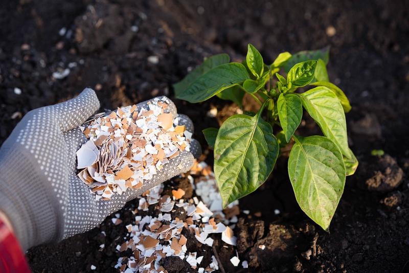garden hacks